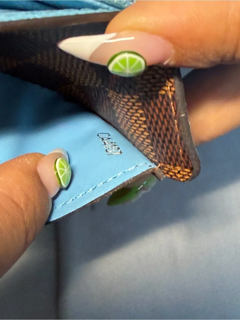 Louis Vuitton Turquoise Textured Leather Snap Wallet